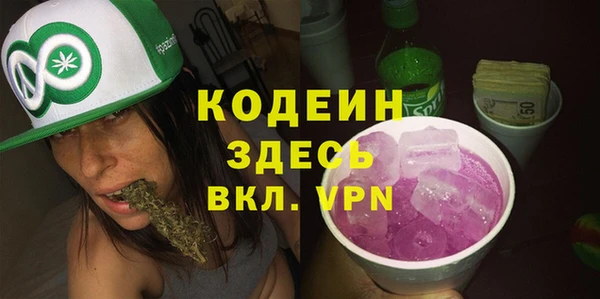 дурь Гусиноозёрск