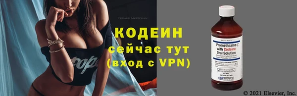 дурь Гусиноозёрск