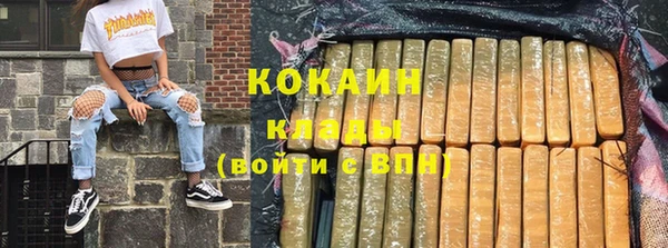 кокс Гусев
